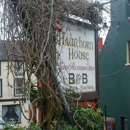 Hawthorn House Guesthouse Kenmare Buitenkant foto