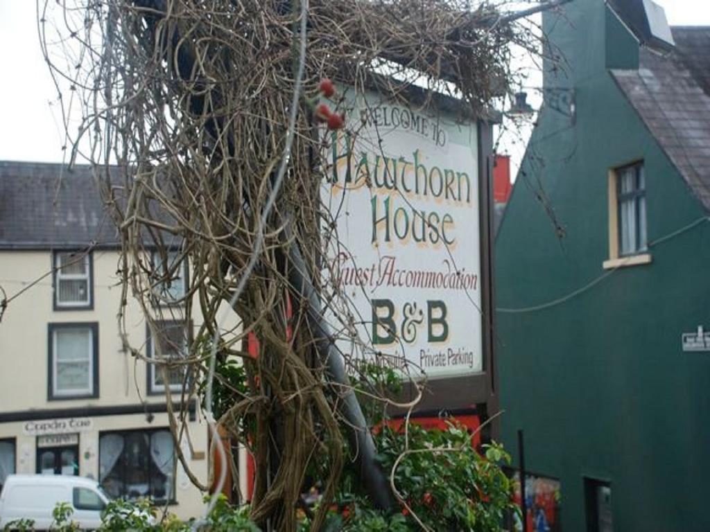 Hawthorn House Guesthouse Kenmare Buitenkant foto